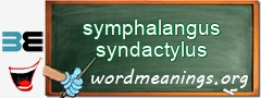 WordMeaning blackboard for symphalangus syndactylus